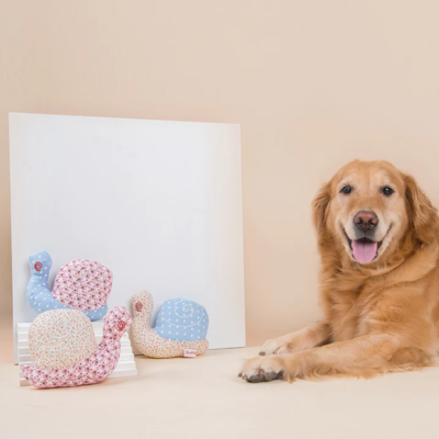 Beautiful Snail Cotton Toy for Dogs