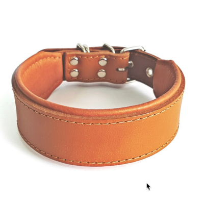 2-inch Large Leather Collar